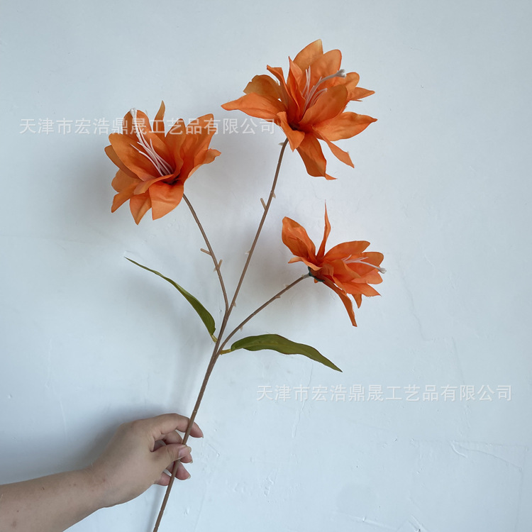 微信图片_202208111655479_副本