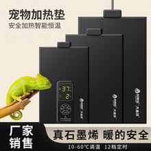 ���������ȵ��ڹ�������ﱣ�¼����ع����涷�����ܿ��±��µ�