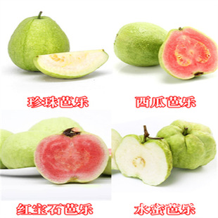 ̨����ʯ��Ř����������ľˮ�����������ԽӼ�ľ��Nֲ����Y��