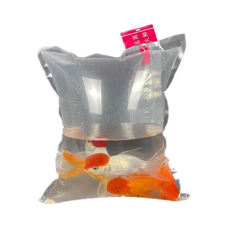 微信图片_20240708171755