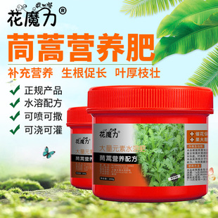 ����àI�B�ʰ����辰����ͥ�̨�ļ��B�o���L�ˈ@�ļ�ͨ���B�o