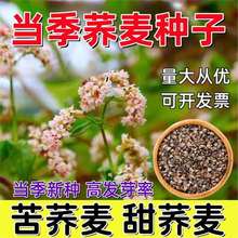 ɢ�b���w�����w���N�Ӽt��������С����С������޲���������]�N��