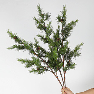 ������ᘎ���3����ɾGֲ�ɘ�ֲ֦�������~���b[���쾰ӭ����