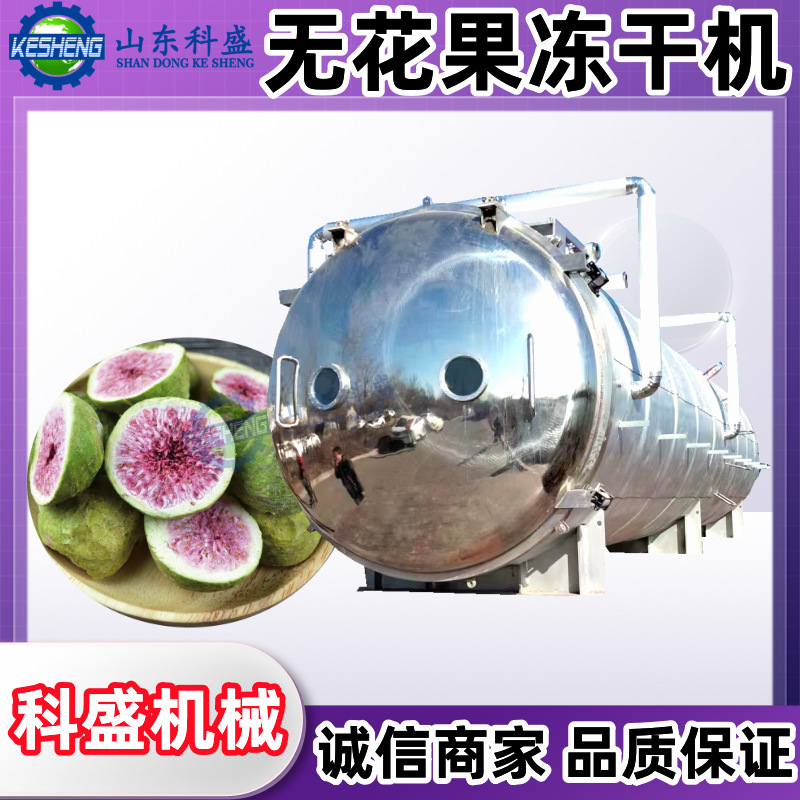 商用冻干机 中草药果蔬宠物食品低温真空冷冻干燥机 无花果冻干机