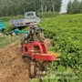 夹持式农用新款大蒜收获机