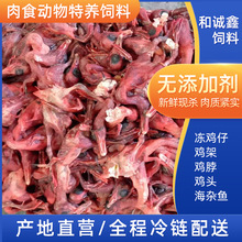 宠物零食蛇狐狸饲料肉食动物特养饲料冷冻小鸡仔加工
