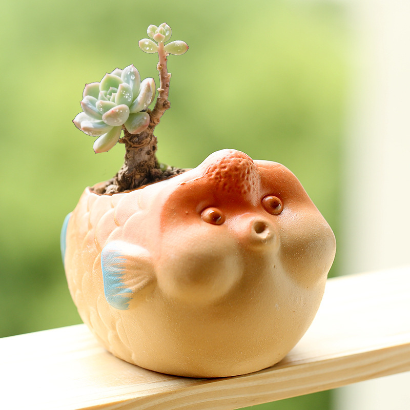 Wholesale Clearance of Versatile Animal-Shaped Succulent Ceramic Flower Pots for Home Use, Breathable Coarse Pottery Root-Control Pots