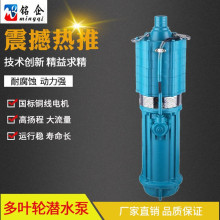 �S��ֱ��QD�༉��ˮ�� Q380V��� С������ˮ�ü���220V��ˮ��