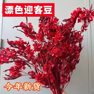 ����ӭ�Ͷ��ɻ����滨�Ҿӻ�c�b����l�������r���������ɻ�