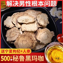 x MںڬƬƬˮڬɹ500ga