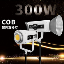 金属300W摄影灯直播补光灯主播专用室内拍照顶灯APP调节太阳灯