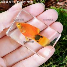 �׃��@������������挍��֬�˱�̫����ˮ�~�~�з�̌W�����Ꭷ�~