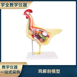教学演示用品;教学仪器;生物教学器材