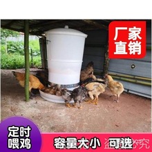 全自动鸽子定时下鸡鸭自动喂食器远程定量喂料机鹅电动喂养鸡投料