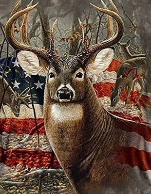 Room Decoration Painting Hanging Painting – Avtomobil döşəmə paspasları - american-deer-5080cm