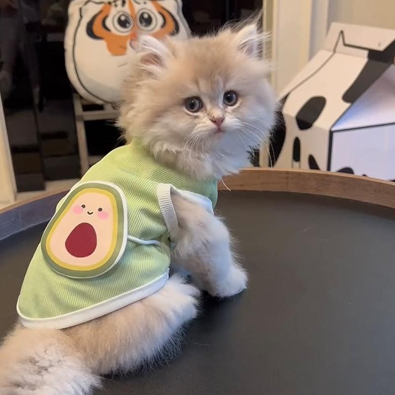 f0fb5250-6ff1-43a7-a298-d66f2eefa2d2.jpe