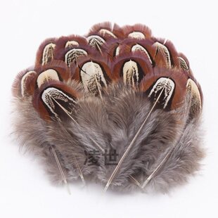 �lС��ë֧�ֹ��Ʒ���Ұ�uë��ë��؈����䁉��W��ȸ�{Ƭ