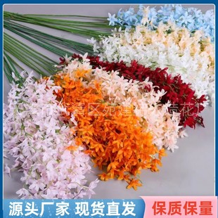 �����L֦ �����m���滨 �����m ��c��픻�Y������픻������컨