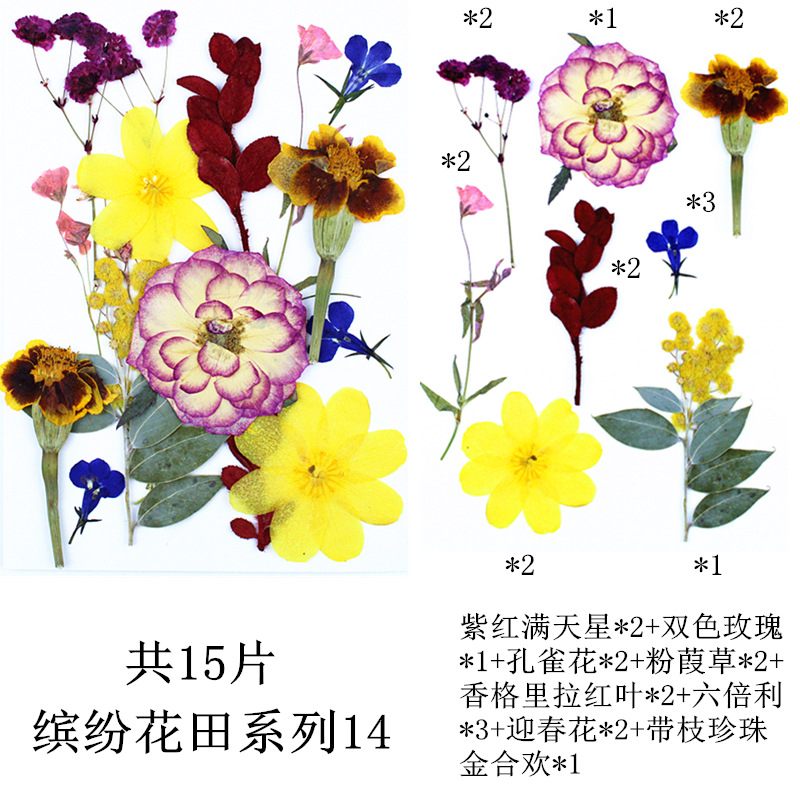 다채로운 꽃 밭 조합 14