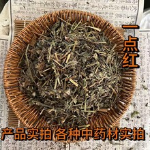 ��ș�����lһ�c�t �~�¼t �t���~ ����� �ٽ��m ɽ��� ��ë��