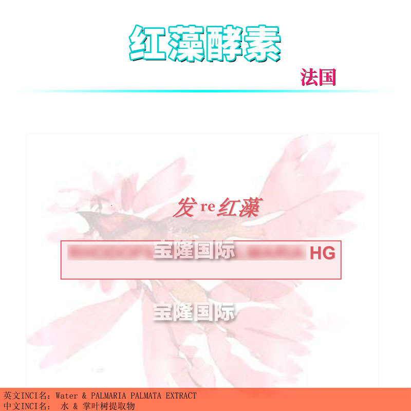 法国 红藻酵素 掌叶树提取物 化妆品原料 100g