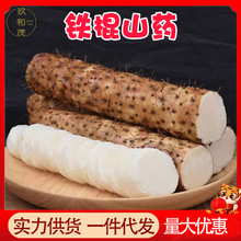 �����F��ɽș5������С����ɽș���r�߲˷�Ŵ���l�����F�U��ɽș