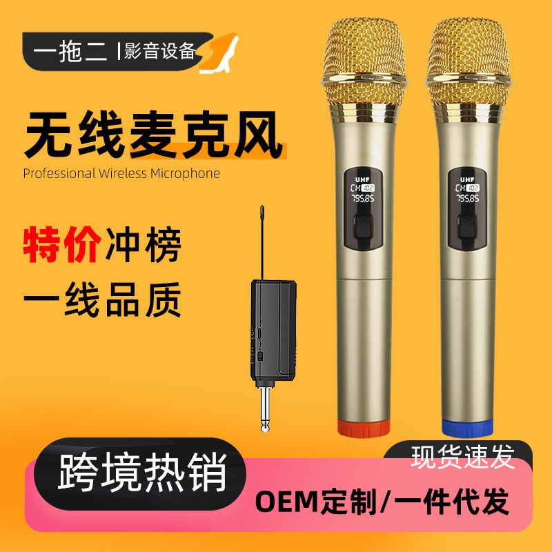 Cross-border wireless microphone one drag two outdoor audio tour guide live foreign trade explosions family KTV singing microphone