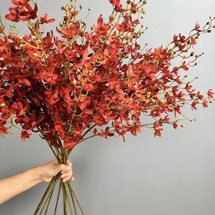 ��������m�f���m�ҾӲ廨�zӰ�Y���������滨���߿͏d�����[���m