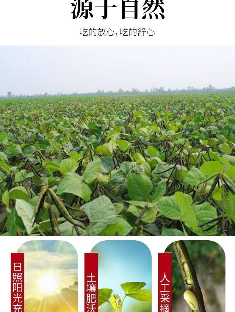 Adzuki Bean Chi Xiao Dou Whole Dried Seeds 500g for Congee Soup and Herbal Cooking quality and texture