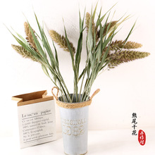 云南干花束熊尾干花干燥花小谷干花束批发家居民宿装饰摆设道具