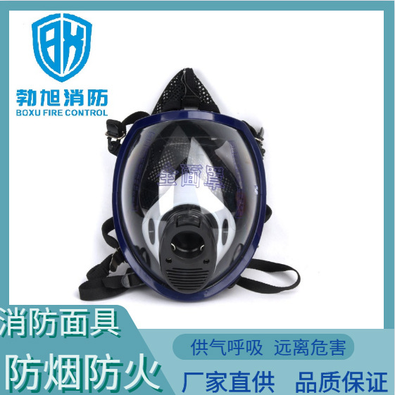 正压式自给式消防空气呼吸器RHZKF6.8/5/30配件防毒面罩头罩全脸