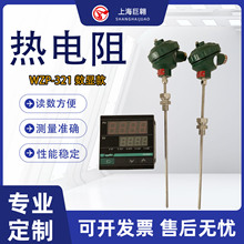 WZP-321搭配现场显示数显仪PT100高温温度传感器304不锈钢探头
