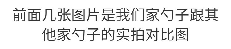 ac3b1563-e3cf-46dc-ab6b-2612cee0f6a0.jpe