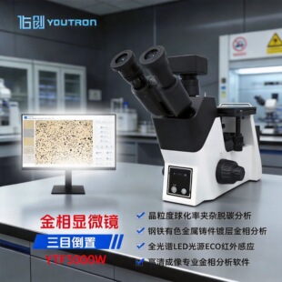 �����@΢�R��Ŀ����YTF3000W���ʾ����ȷ����x����M�������u��
