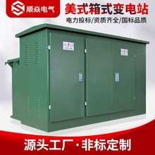 ��ʽ�Wʽ��׃�h�W�ͳ�����ʽ׃�վ10KV��ʽ�⚤��늘���׃��늷�