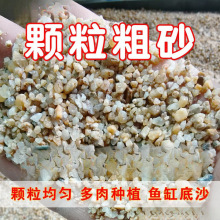 多肉河沙土纯天然粗沙颗粒造景铺面种花鱼缸底砂微景观水族种植拌