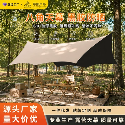 Vinyl Sunshade Canopy Outdoor Avtomobil yan çətirləri