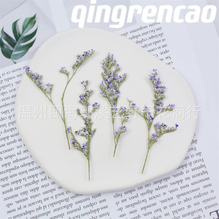 Lover Grass Dried Flower Embossed Invitation Bookmark Gel Drop Mobile Phone Case Handmade DIY Photo Frame Handmade Soap Aromatherapy Coaster