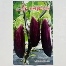 ��ʢ��Ʒ�|���ӷN�Ѽt����446���ӷN�����촺�ﻨ���ӷN�����Ⱥ�
