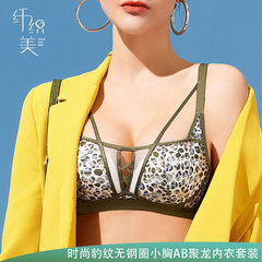 Xianzhimei 8989 small breast push-up leopard print lace underwear set for women, comfortable wire-free top support bra