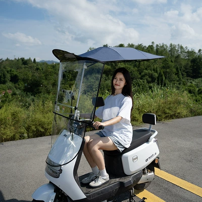 Electric Battery Vehicle Canopy Can Be Quickly Disassembled, Foldable and Retractable, Simple Installation Canopy, Windproof and Sunshade, Safe Windproof Canopy (Elektromobil üçün ön şüşə çətiri (günlük)) - 1-piece-12-pieces-mixed-colors-gray