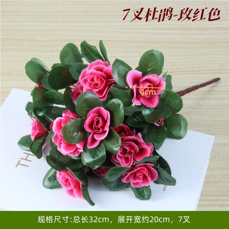 Orange, Rhododendron, Rose Red