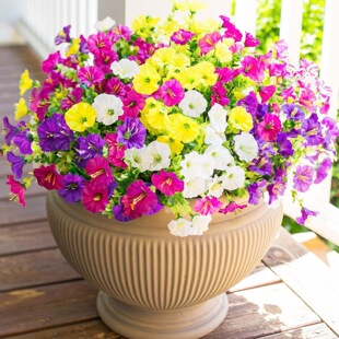 Cross -border glory fake flower simulation bouquet single -tier plastic silk cloth dry flower balls fence flower flower inserted flower inserted pastoral decoration