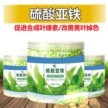 �S��Դ�^���၆�F�LЧ��ጷʿ�ጷ�ˮ�ܱ��ٱ����{���������|��