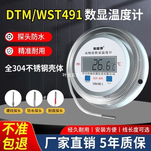 Kt Digital Display Thermometer with Probe Digital Water Temperature Measuring Meter High Precision Stainless Steel Water Thermometer Meter 491