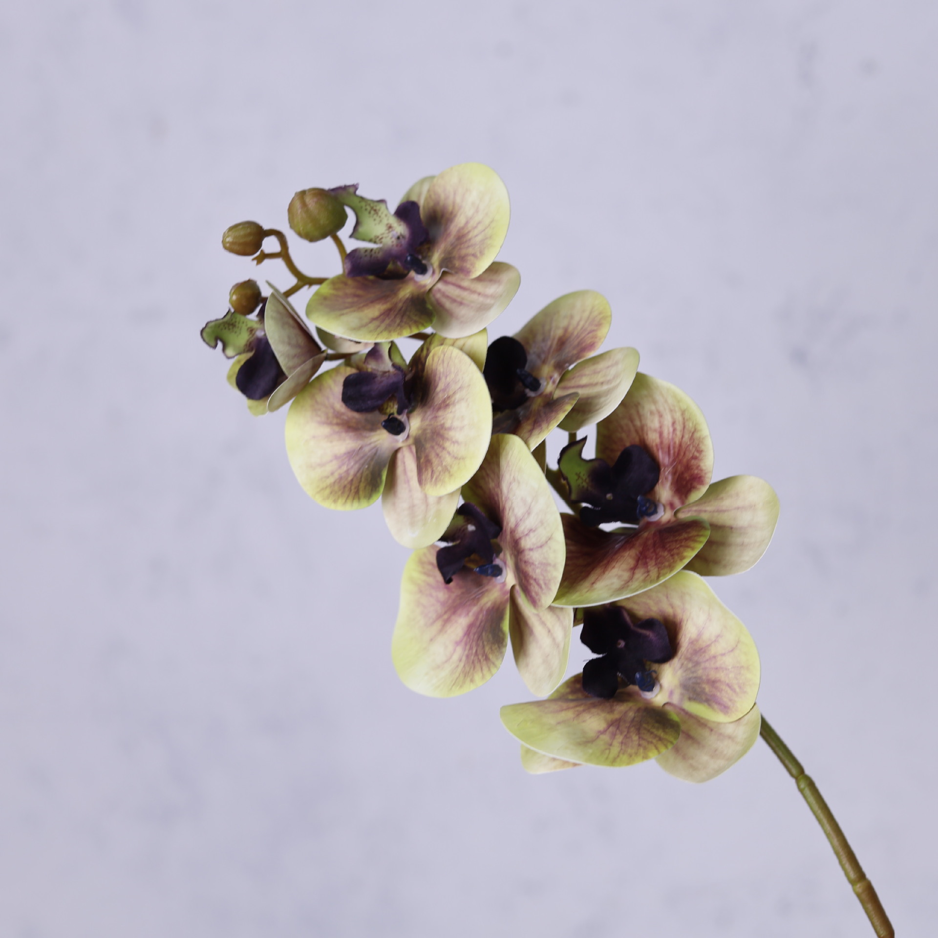 Impresión 3D de 7 cabezas de orquídeas mariposa flor de decoración de flores de alto nivel flor de nicho decoración floral decoración de sala de estar