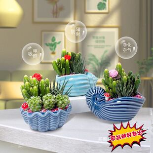 ���������Զ���M�Ϸ�ݗ���������_��ֲ���k�����·��҃�����ȩ