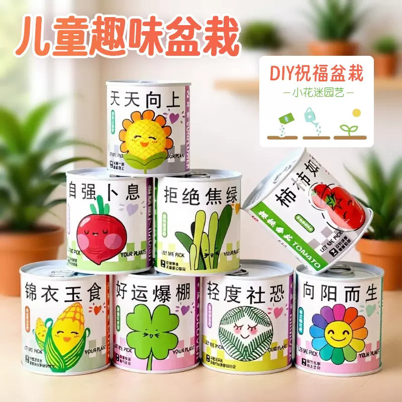 儿童礼物易拉罐植物盲盒桌面小盆栽小学生花卉绿植好养活种子盆栽
