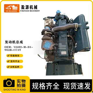 工程机械挖掘机配件适用于V2403-M-D1-TE2B-CClT发动机总成