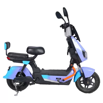 Elektrikli motosikletlər Two-Wheeled Electric Vehicles, Electric